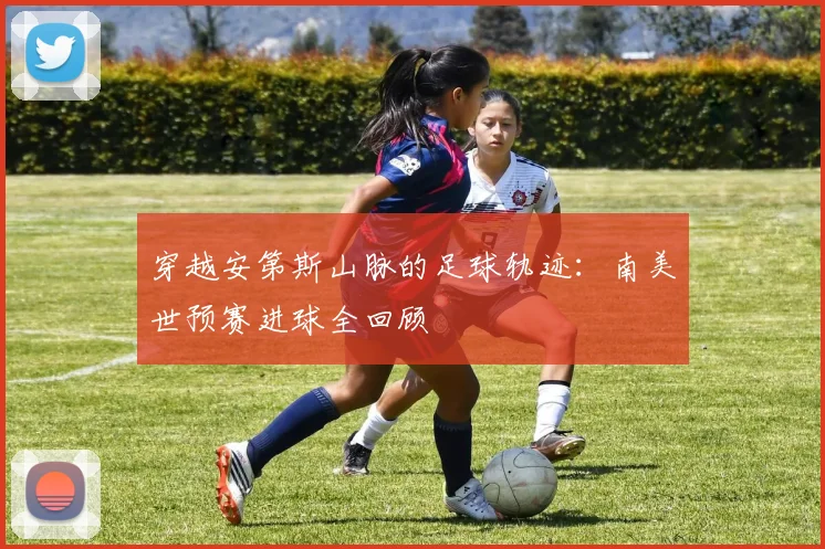 穿越安第斯山脉的足球轨迹：南美世预赛进球全回顾