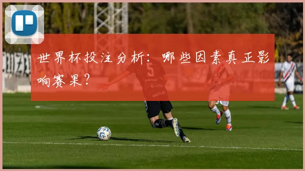 世界杯投注分析：哪些因素真正影响赛果？